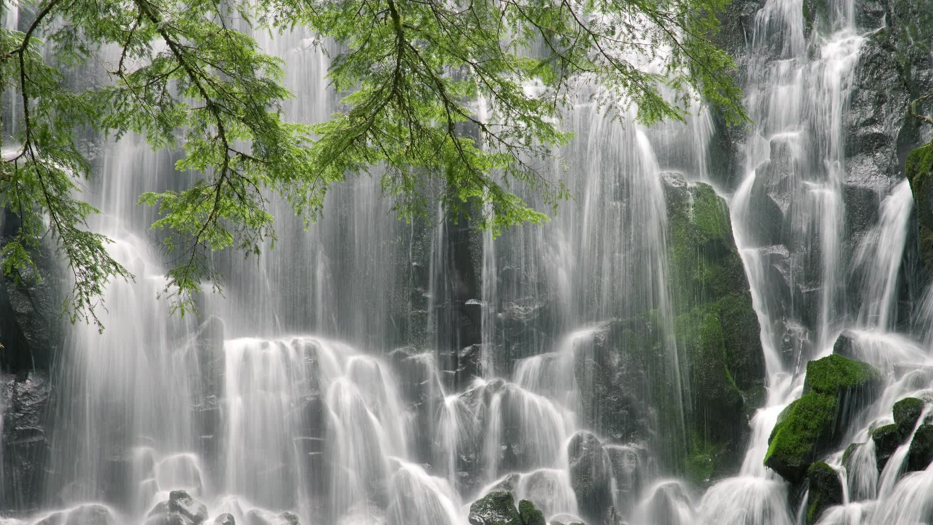 世界举重国际教练认证:统一课程提高培训质量,世界举重大师赛